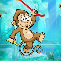 Monkey Hook icon