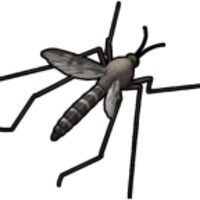 Mosquito Sound icon