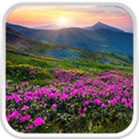 Mountain Flower Live Wallpaper icon