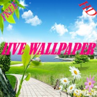 Live WallPaper icon