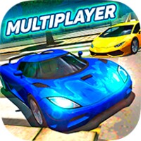 Multiplayer Driving Simulator 1.14