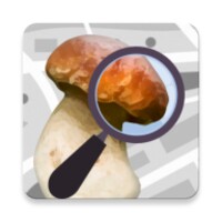 Mushroom Identificator icon