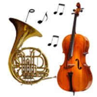 Musical instruments sounds icon