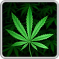 My Ganja Live Wallpaper icon