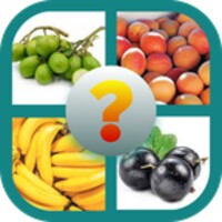 Nama Buah Bahasa Inggris icon