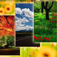 Nature Wallpapers 1 2.7