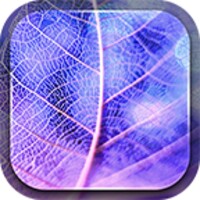 Neon Leaves Live Wallpaper icon