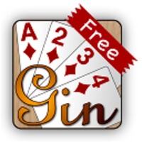 Net Gin Free icon