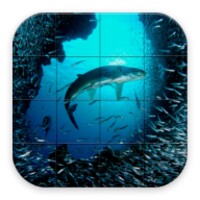 Ocean Life Puzzle icon