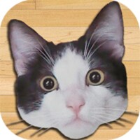 Only For Cats icon