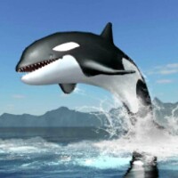 Orca Survival Simulator 1.0