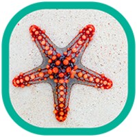 Beach Wallpapers icon