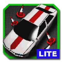 Parking Challenge 3D [LITE] 3.0