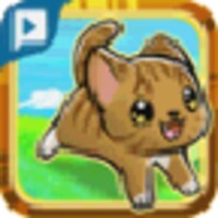 PetDash icon