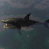 PetShark icon