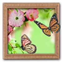 Amazing Photo Frames icon