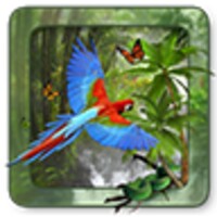 Jungle Photo Frames icon