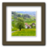 Photo Frame Widget icon