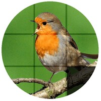 PhotoPuzzle icon