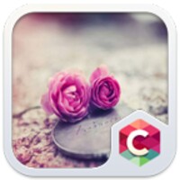 Pink Roses Theme C Launcher icon