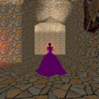 Princess in maze of castle icon