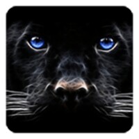 Black Panther Live Wallpaper icon