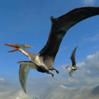 Pterodactyl Survival