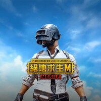 PUBG MOBILE (TW) icon