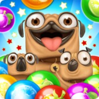 Pug Pop Bubble Shooter icon