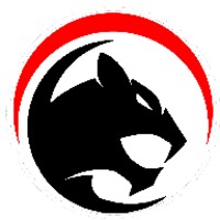 PUMA Tunnel icon