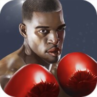 Punch Boxing 3D icon