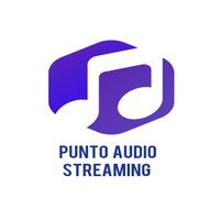 Punto Audio icon