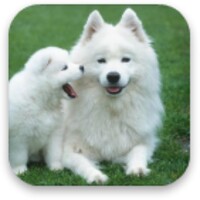 Puppies icon