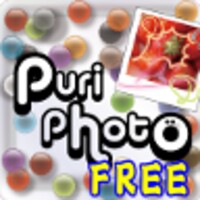 Puri photo(free) icon