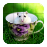 Puzzle - Cute Hamsters 1.24