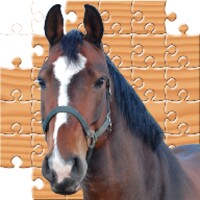 Puzzle Horses icon