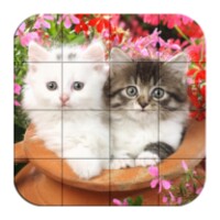 Puzzle-Kittens 1.25