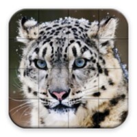 Puzzle - Wild Animals 1.24