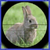 RABBIT HUNTER 3D 3.4