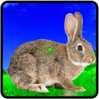 Rabbit Hunting Challenge icon