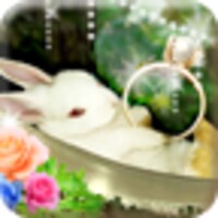 Rabbits nap icon