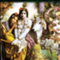 Radha Krishna Live Wallpaper 1.0