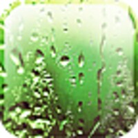 Rain Live Wallpaper 1.3.6