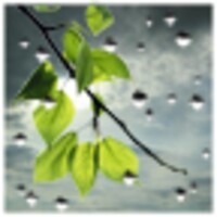 Rain Wallpaper 1.5.3