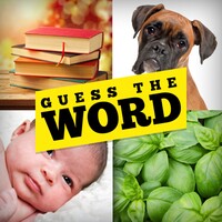 Guess The Word