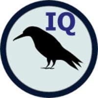 Raven IQ Test 2.0