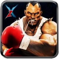 Real 3D Boxing Punch icon