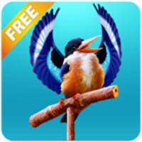 Real Talking Bird icon