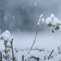 Realistic Snow Live Wallpaper icon