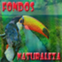 Fondos de Naturaleza icon